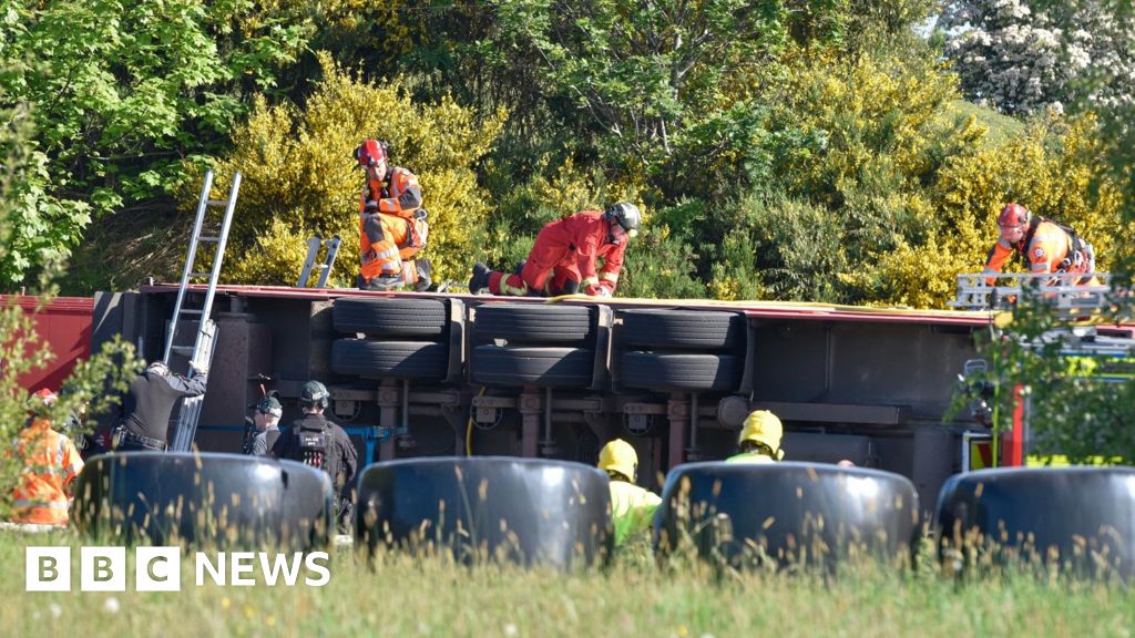 Road remains closed as cows rescued from overturned lorry